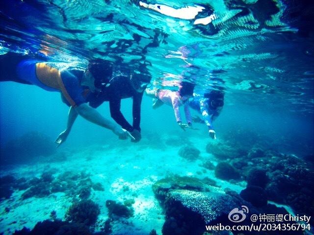 国家魔法森林逃亡